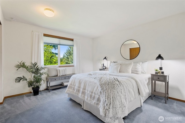 3861 Gala Loop, Bellingham, WA 98226 - bedroom with carpet floors and baseboards