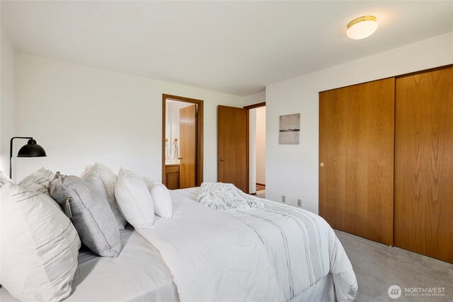 3861 Gala Loop, Bellingham, WA 98226 - bedroom with light carpet and a closet