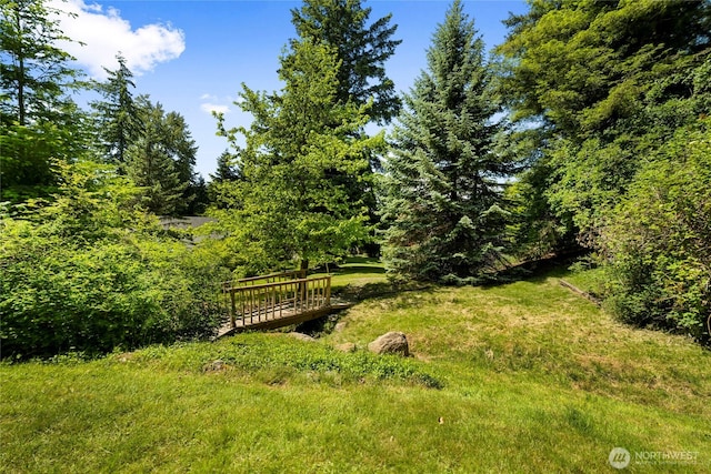3861 Gala Loop, Bellingham, WA 98226 - view of yard