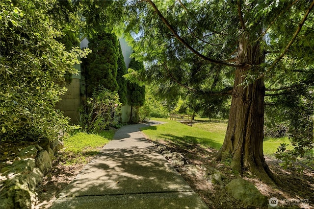 3861 Gala Loop, Bellingham, WA 98226 - view of property's community featuring a yard