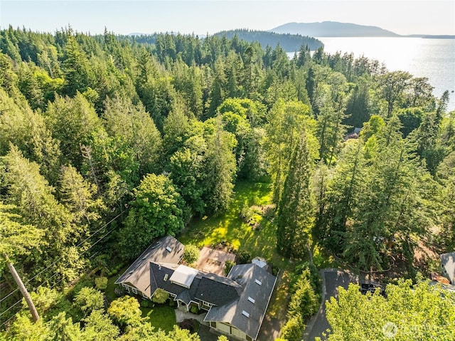 761 Chuckanut Dr, Bellingham, WA 98229 - aerial view of a forest and a nearby body of water