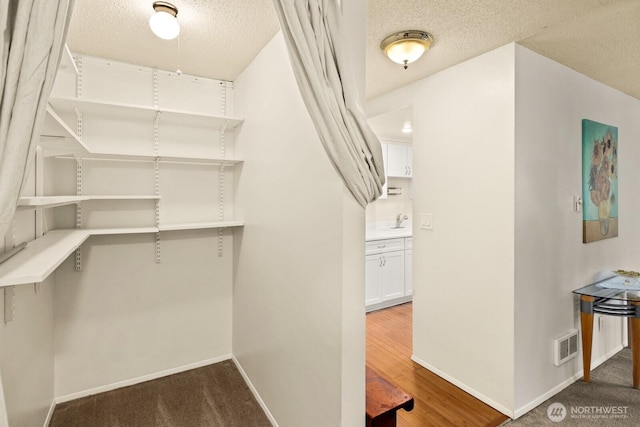 18904 8th Ave NW Unit 128, Shoreline, WA 98177 - spacious closet featuring a sink
