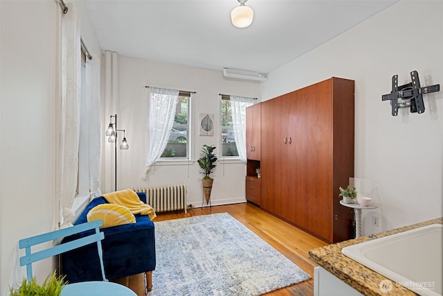 129 Warren Ave N Unit 18, Seattle, WA 98109 - entrance foyer with radiator heating unit and light wood finished floors