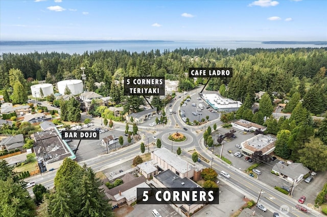 9125 221st St SW, Edmonds, WA 98026 - aerial view of property and surrounding area featuring a heavily wooded area and a nearby body of water