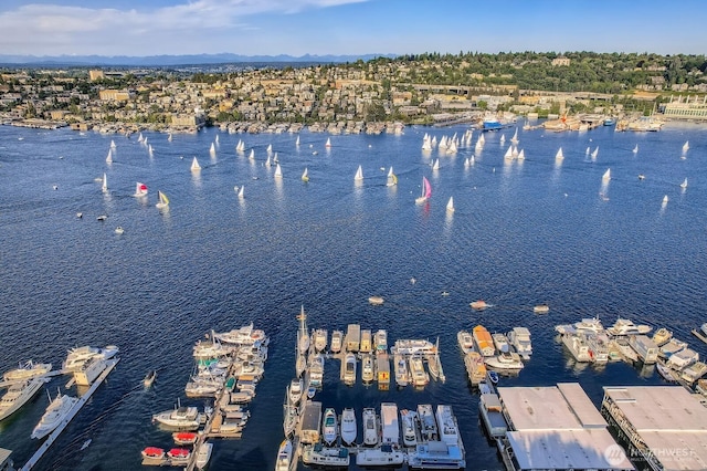 2040 Westlake Ave N Unit 26, Seattle, WA 98109 - aerial view of property and surrounding area with a large body of water and a marina