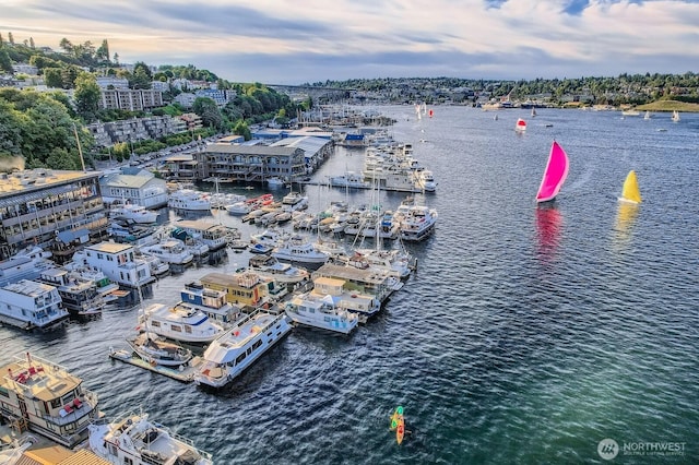 2040 Westlake Ave N Unit 26, Seattle, WA 98109 - water view with numerous boat docks