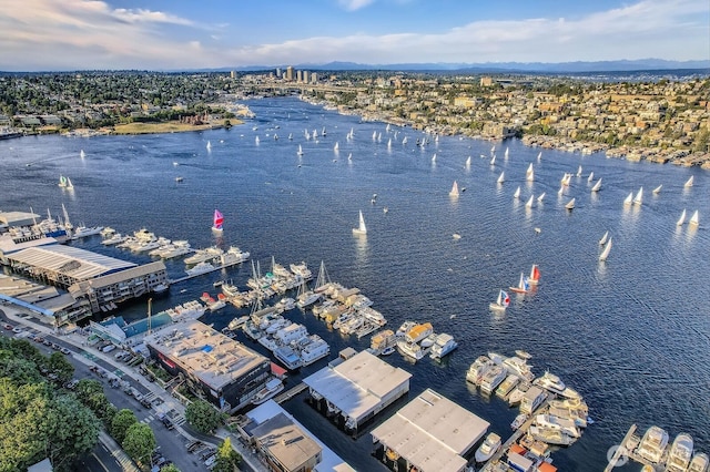 2040 Westlake Ave N Unit 26, Seattle, WA 98109 - bird's eye view of a large body of water and a notable bridge