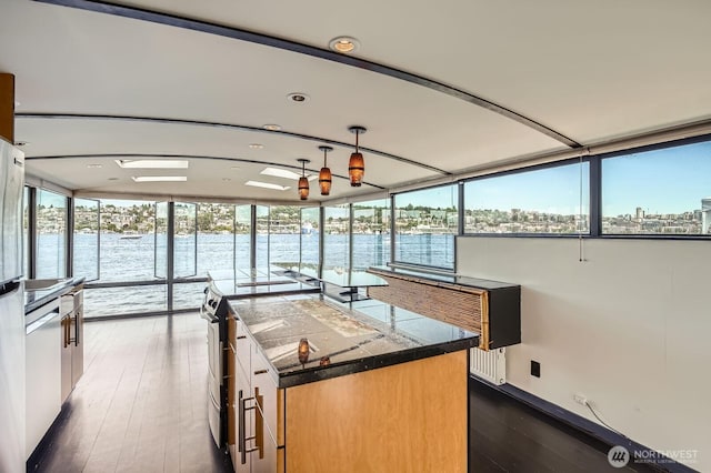 2040 Westlake Ave N Unit 26, Seattle, WA 98109 - kitchen with stainless steel appliances, dark wood-style flooring, dark countertops, a water view, and a center island