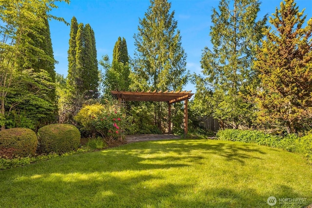 235 249th Pl NE, Sammamish, WA 98074 - view of green lawn