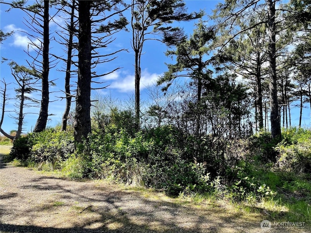 38 Golden Ln, Pacific Beach, WA 98571