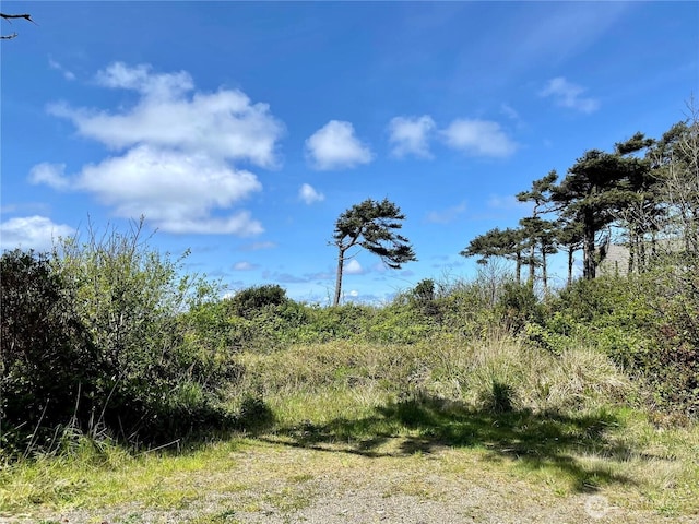 38 Golden Ln, Pacific Beach, WA 98571