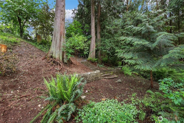 3904 Ridge Way, Mount Vernon, WA 98273 - view of nature