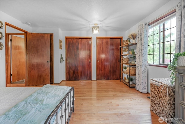 3904 Ridge Way, Mount Vernon, WA 98273 - bedroom featuring light wood-style floors and multiple closets