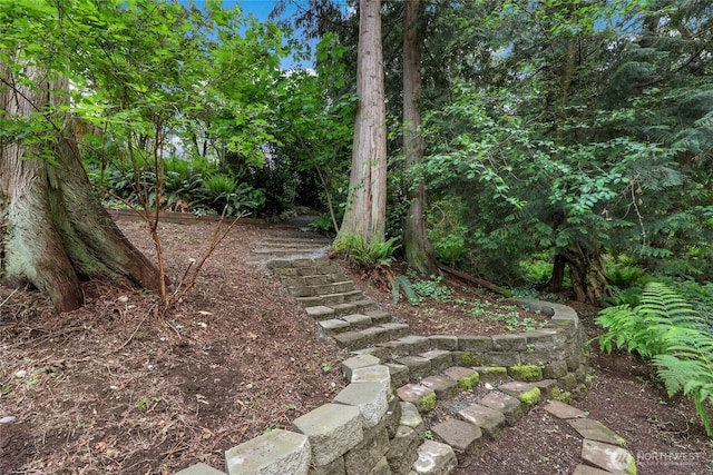 3904 Ridge Way, Mount Vernon, WA 98273 - view of yard