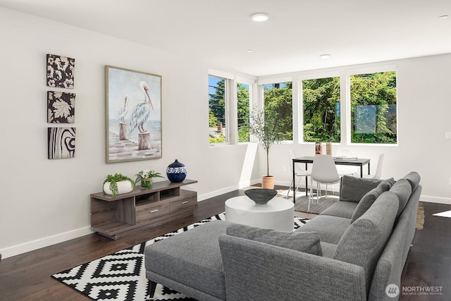 13329 1st Ave NE, Seattle, WA 98125 - living room with baseboards, healthy amount of natural light, dark wood-style floors, and recessed lighting