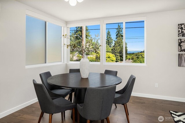 13329 1st Ave NE, Seattle, WA 98125 - dining area featuring healthy amount of natural light, baseboards, and dark wood-style flooring