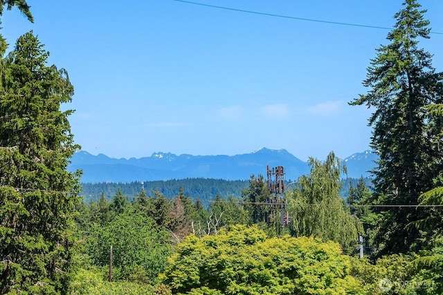 13329 1st Ave NE, Seattle, WA 98125 - view of mountain background with a forest