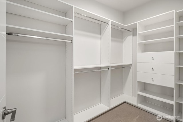 13329 1st Ave NE, Seattle, WA 98125 - view of spacious closet