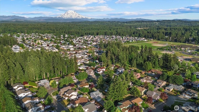 20111 74th Avenue Ct E, Spanaway, WA 98387 - aerial overview of property's location with a forest, mountains, and nearby suburban area