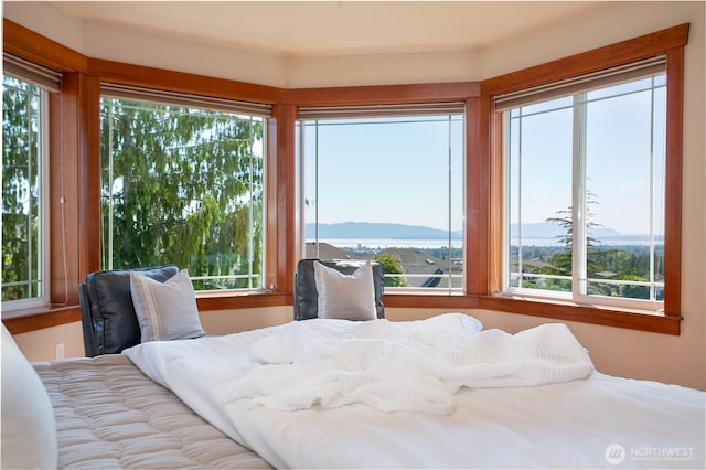 3276 Spyglass Dr, Bellingham, WA 98226 - bedroom with multiple windows and a mountain view