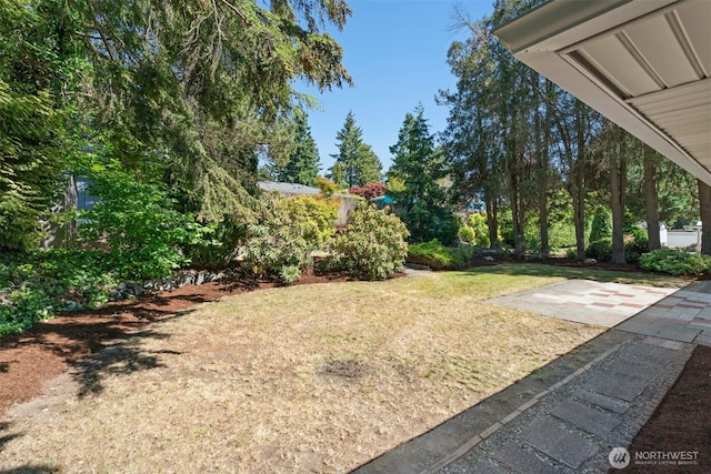 20608 1st Ave S, Des Moines, WA 98198 - view of green lawn featuring a patio area