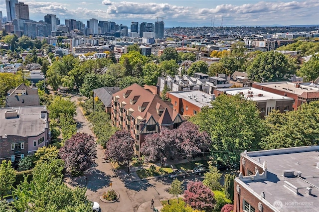 1101 17th Ave Unit 403, Seattle, WA 98122 - bird's eye view of city skyline