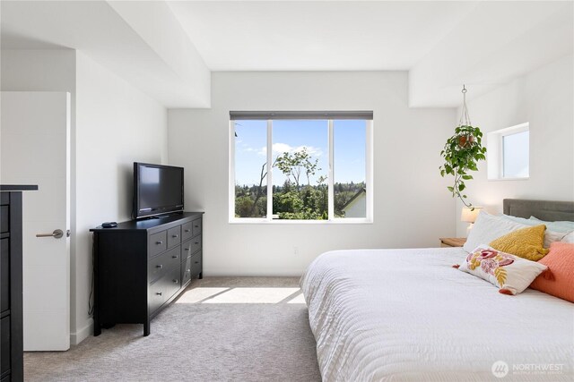 2736 SW Holden St, Seattle, WA 98126 - bedroom featuring light carpet and multiple windows