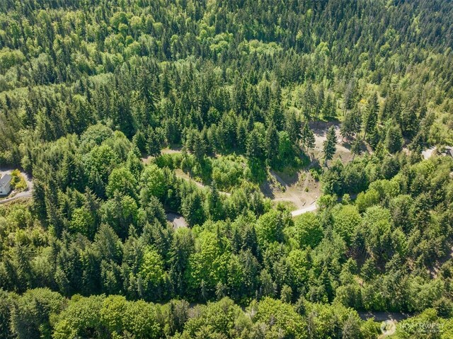 1234 Harbor View Dr, Port Angeles, WA 98363 - photo 9