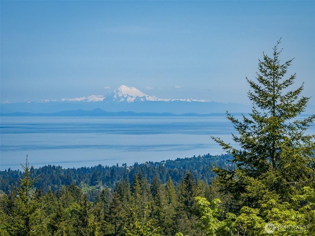 1234 Harbor View Dr, Port Angeles, WA 98363 - photo 3