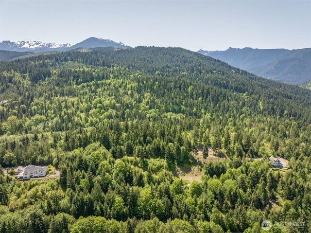 1234 Harbor View Dr, Port Angeles, WA 98363 - photo 10