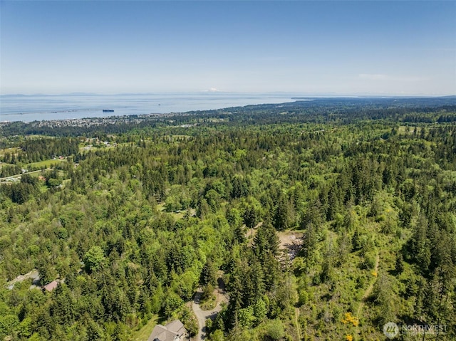 1234 Harbor View Dr, Port Angeles, WA 98363 - photo 13