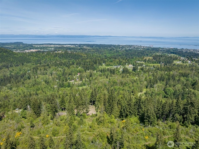 1234 Harbor View Dr, Port Angeles, WA 98363 - photo 15
