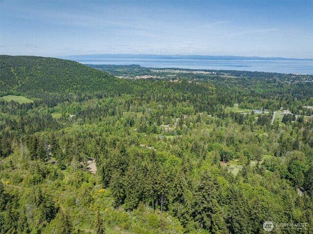 1234 Harbor View Dr, Port Angeles, WA 98363 - photo 16