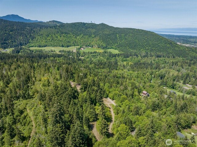 1234 Harbor View Dr, Port Angeles, WA 98363 - photo 17