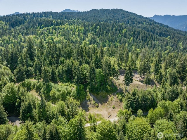 1234 Harbor View Dr, Port Angeles, WA 98363 - photo 19