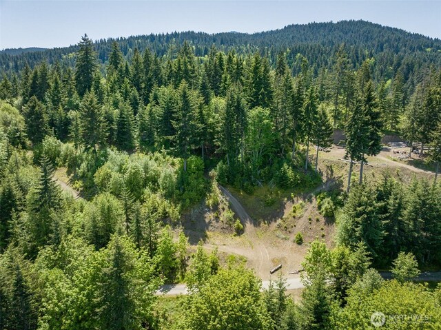 1234 Harbor View Dr, Port Angeles, WA 98363 - photo 20