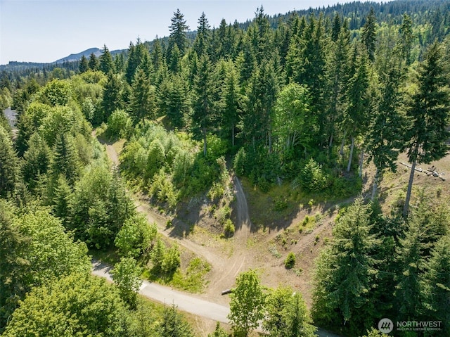 1234 Harbor View Dr, Port Angeles, WA 98363 - photo 21
