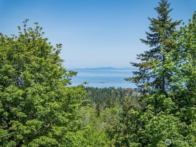 1234 Harbor View Dr, Port Angeles, WA 98363 - photo 2