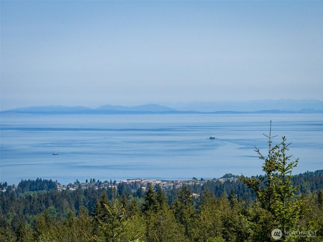 1234 Harbor View Dr, Port Angeles, WA 98363 - photo 7