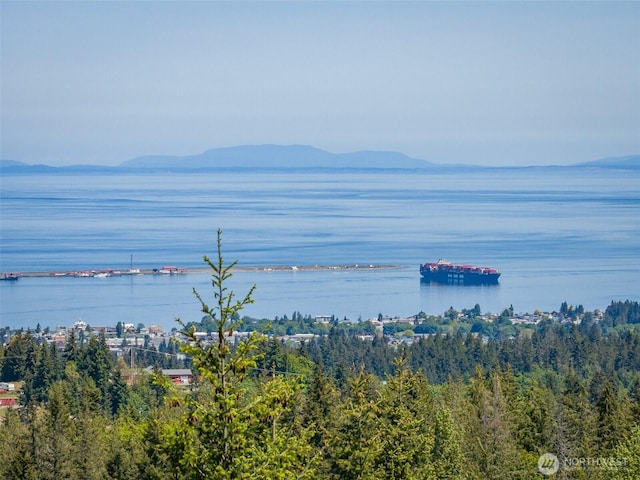 1234 Harbor View Dr, Port Angeles, WA 98363 - photo 5