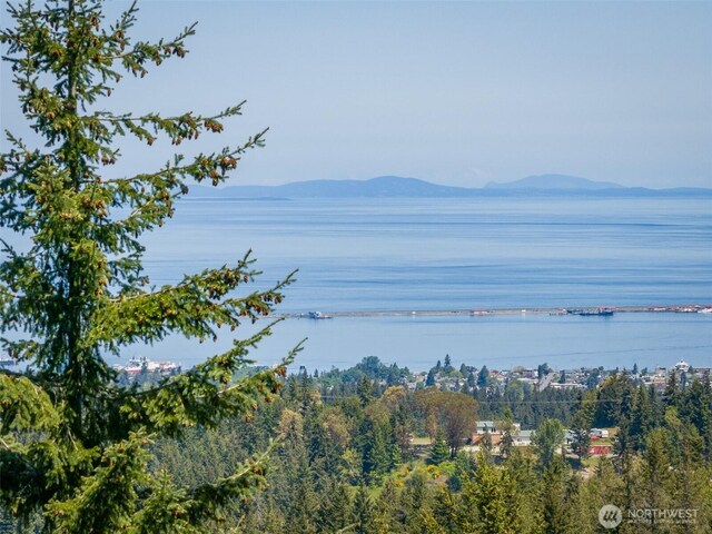 1234 Harbor View Dr, Port Angeles, WA 98363 - photo 22