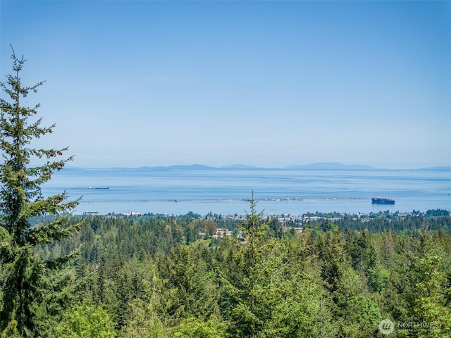 1234 Harbor View Dr, Port Angeles, WA 98363 - photo 6
