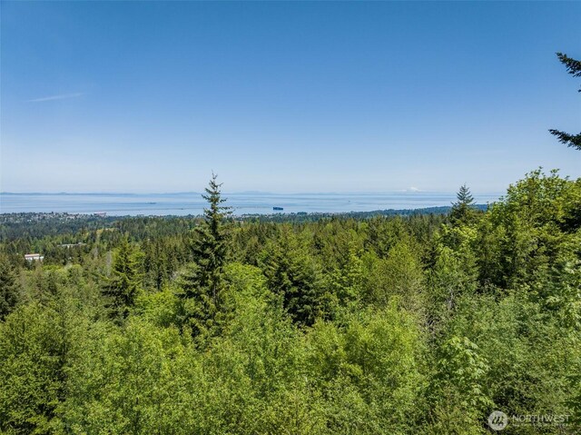 1234 Harbor View Dr, Port Angeles, WA 98363 - photo 23
