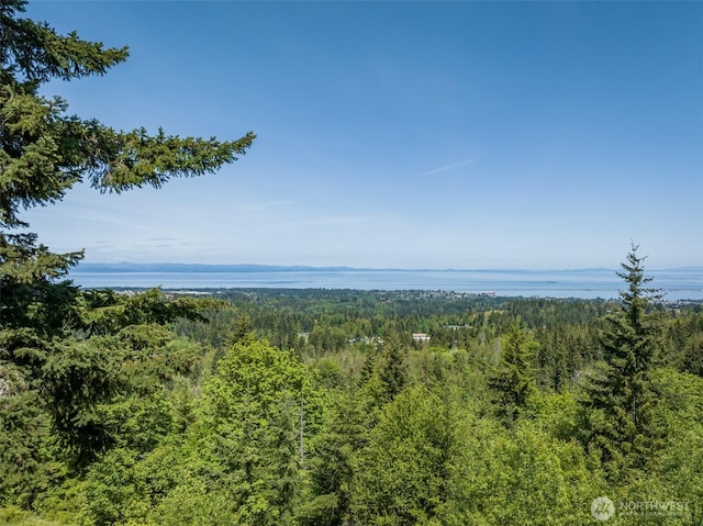 1234 Harbor View Dr, Port Angeles, WA 98363 - photo 1