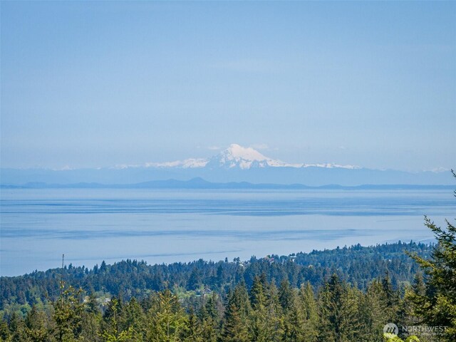 1234 Harbor View Dr, Port Angeles, WA 98363 - photo 24