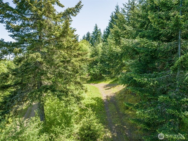 1234 Harbor View Dr, Port Angeles, WA 98363 - photo 25