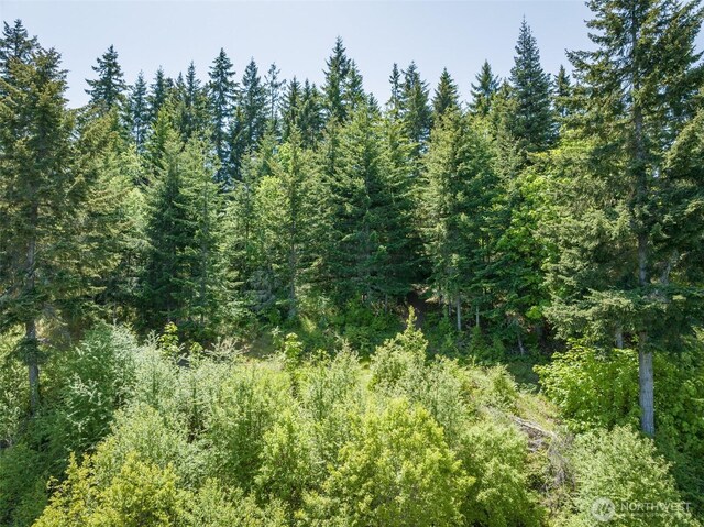 1234 Harbor View Dr, Port Angeles, WA 98363 - photo 26