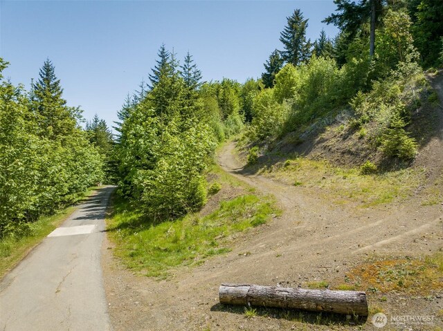1234 Harbor View Dr, Port Angeles, WA 98363 - photo 29