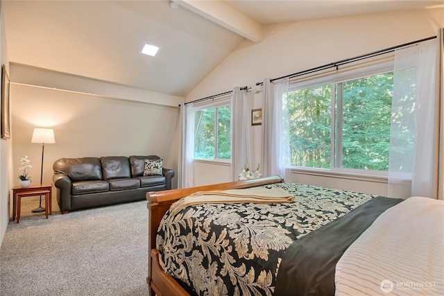 64455 NE 180th St, Baring, WA 98224 - view of carpeted bedroom