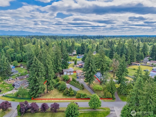 15825 SE 322nd St, Auburn, WA 98092 - photo 36
